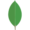 /images/icons/mongodb.png